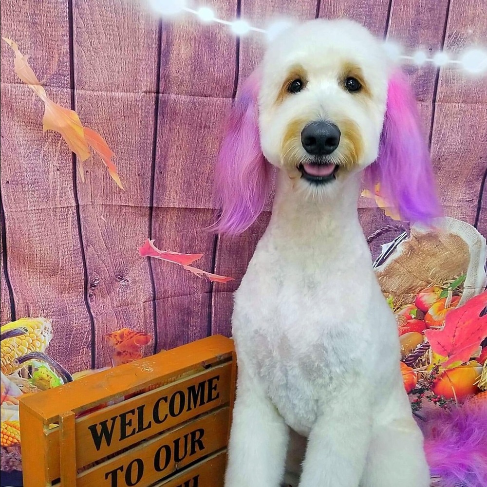 Meet your Posher, Nadia